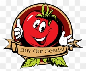 New Online Store - Tomato Summer Cartoon - Free Transparent PNG Clipart Images Download. - Summer Transparent PNG Free Download