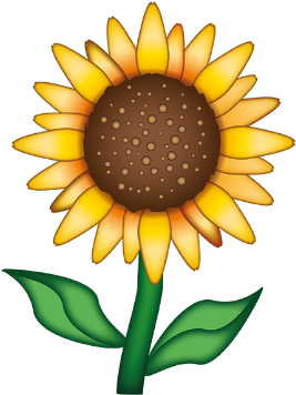 55 Images About Overlays On We Heart It - Official Emoji Happy Summer Hard Back Case - Free Transparent PNG Clipart Images Download. - Transparent PNG Free Download