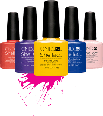 Cnd Shellac >> - Cnd Shellac Summer 2018 - Free Transparent PNG Clipart Images Download. - Transparent PNG Free Download