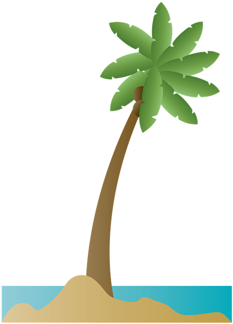 Palm Tree Palm Coconut Beach Summer Ocean Sea - Playa Ilustracion Png - Free Transparent PNG Clipart Images Download. - Transparent PNG Free Download