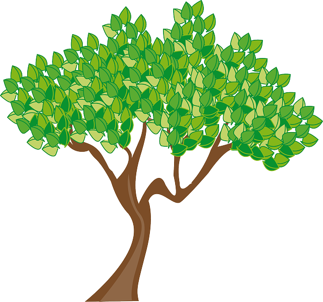 Season Summer Tree Leaves Green Trunk Wood - Spring Trees Clip Art - Free Transparent PNG Clipart Images Download. - Transparent PNG Free Download