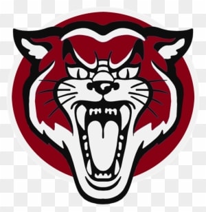 Cte Free Summer Camp - Wildcats Clipart - Free Transparent PNG Clipart Images Download. - Transparent PNG Free Download