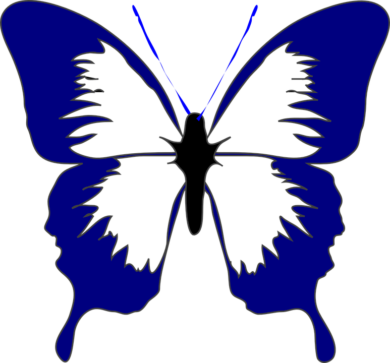 Butterfly, Insect, Spring, Navy Blue, Beautiful, Summer - Butterfly Black And White Clipart - Free Transparent PNG Clipart Images Download. - Transparent PNG Free Download