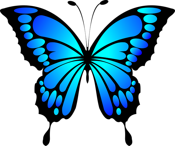 Butterfly Blue Insect Summer Wings Butterf - Blue Butterfly - Free Transparent PNG Clipart Images Download. - Transparent PNG Free Download