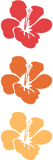 Flower, Flowers, Summer, Hawaii, Floral - 하와이 Png - Free Transparent PNG Clipart Images Download. - Transparent PNG Free Download