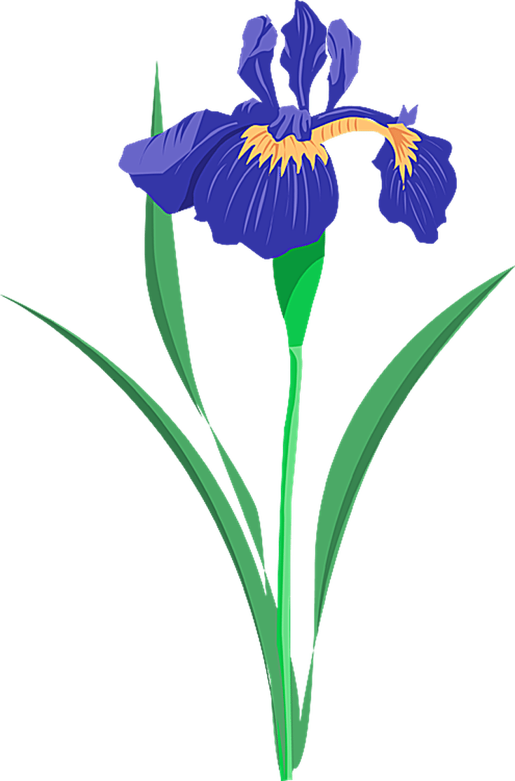 Grab This Free Summer Flower Clip Art - Purple Iris Clip Art - Free Transparent PNG Clipart Images Download. - Transparent PNG Free Download