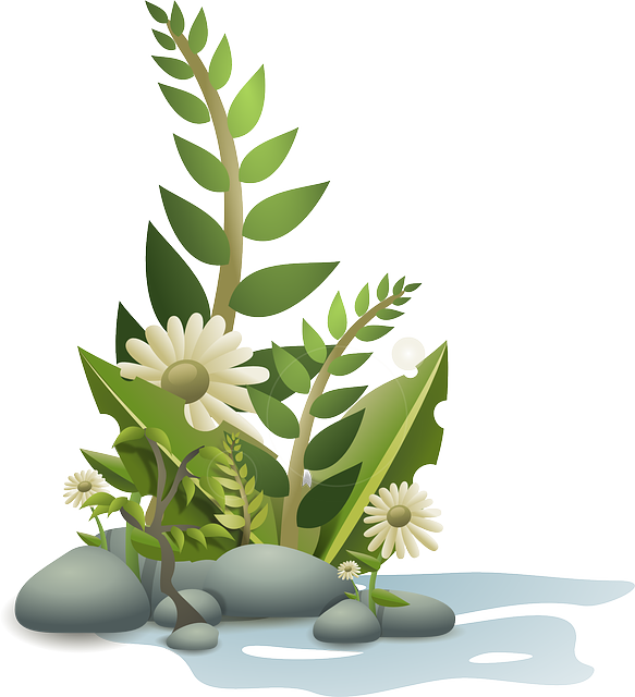 Flower, Plant, Tropical, Nature, Garden, Summer, Floral - Plants Clipart Png - Free Transparent PNG Clipart Images Download. - Transparent PNG Free Download