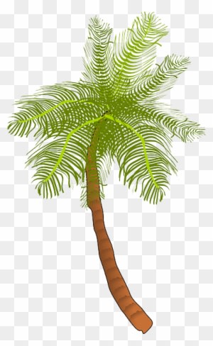 Palm, Tree, Ocean, Summer, Vacation, Beach, Palm Leaf - Coconut Tree Clip Art - Free Transparent PNG Clipart Images Download. - Transparent PNG Free Download