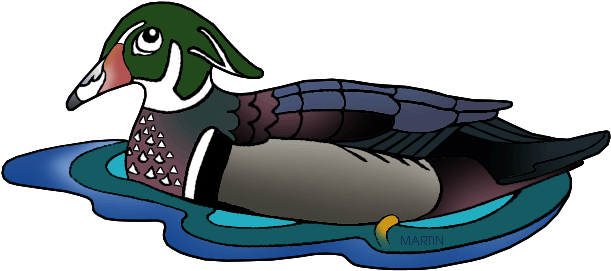 South Carolina State Duck - Waterfowl Clip Art - Free Transparent PNG Clipart Images Download. - Transparent PNG Free Download