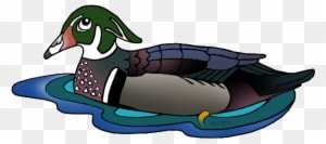 South Carolina State Duck - Waterfowl Clip Art - Free Transparent PNG Clipart Images Download. - Transparent PNG Free Download