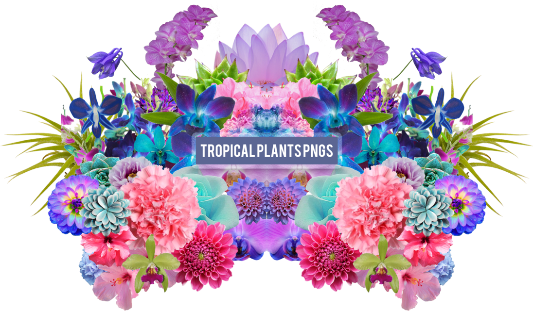 Tropical Plants Png's By Summer To The Spring - Pack Png Plantas - Free Transparent PNG Clipart Images Download. - Transparent PNG Free Download