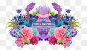 Tropical Plants Png's By Summer To The Spring - Pack Png Plantas - Free Transparent PNG Clipart Images Download. - Transparent PNG Free Download