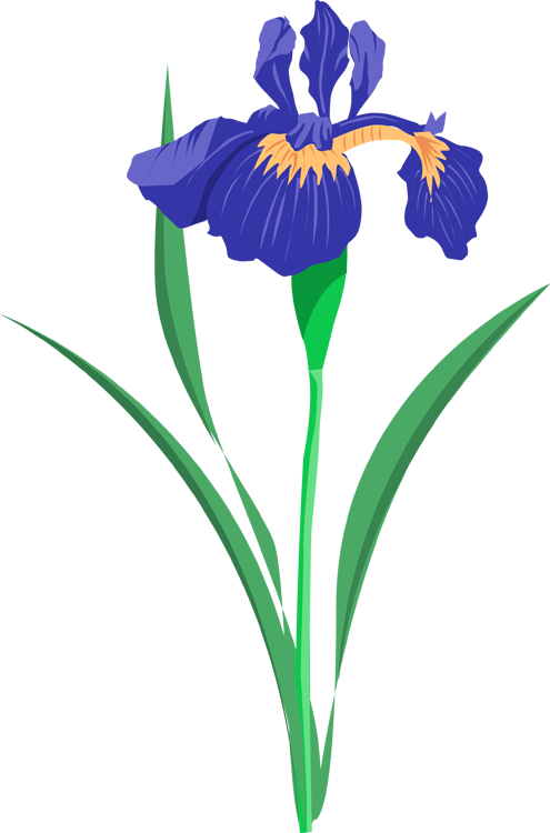 Grab This Free Summer Flower Clip Art - Purple Iris Clip Art - Free Transparent PNG Clipart Images Download. - Transparent PNG Free Download