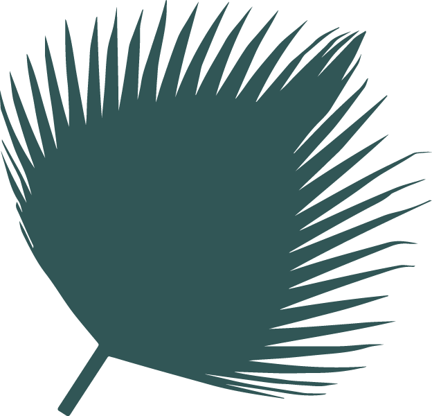 The Surf's Up At Trcc This Summer Ride The Wave Into - The Surf's Up At Trcc This Summer Ride The Wave Into - Free Transparent PNG Clipart Images Download. - Transparent PNG Free Download