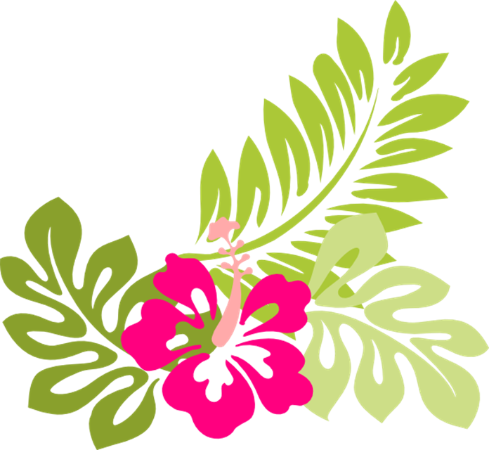 Summer Flowers Clipart Butterfly And Flowers - Hawaiian Flower Png - Free Transparent PNG Clipart Images Download. - Transparent PNG Free Download