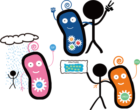 Cool Down In Summer With Our Rock Paper Scissors Game - E Coli And Humans - Free Transparent PNG Clipart Images Download. - Transparent PNG Free Download