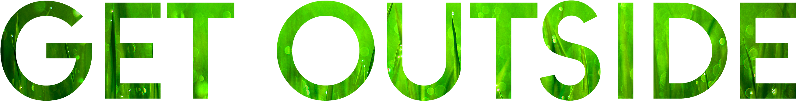 Whether You're Going To Your Favorite Park Or Throwing - Colorfulness - Free Transparent PNG Clipart Images Download. - Transparent PNG Free Download