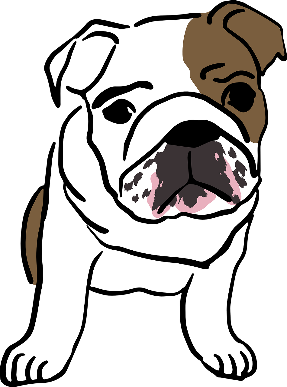 Sunday Fun Day The Dog Days Of Summer - Bulldog Ingles Desenho Png - Free Transparent PNG Clipart Images Download. - Transparent PNG Free Download
