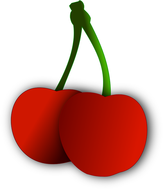 Summer Flower Clip Art Download - Cherry - Free Transparent PNG Clipart Images Download. - Transparent PNG Free Download