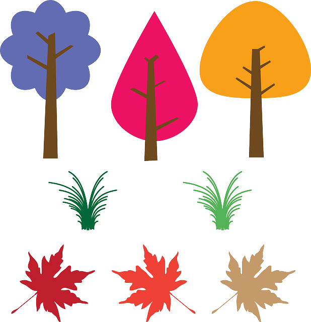 Outside, Grass, Summer, Trees, Leaves, Outdoors - Fall Leaves Clip Art - Free Transparent PNG Clipart Images Download. - Transparent PNG Free Download