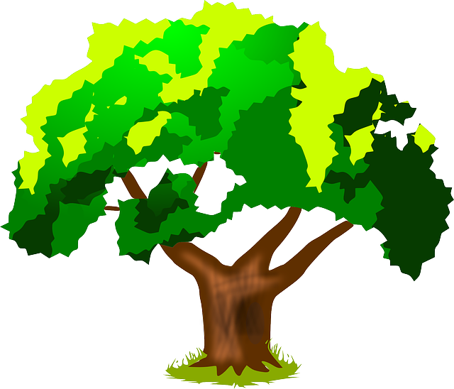 Summer Plant, Tree, Green, Trunk, Leaves, Spring, Summer - Harwood Park Primary School - Free Transparent PNG Clipart Images Download. - Transparent PNG Free Download