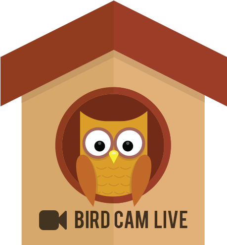 Summer Fete, Saturday 7th July, 12 - House - Free Transparent PNG Clipart Images Download. - Transparent PNG Free Download