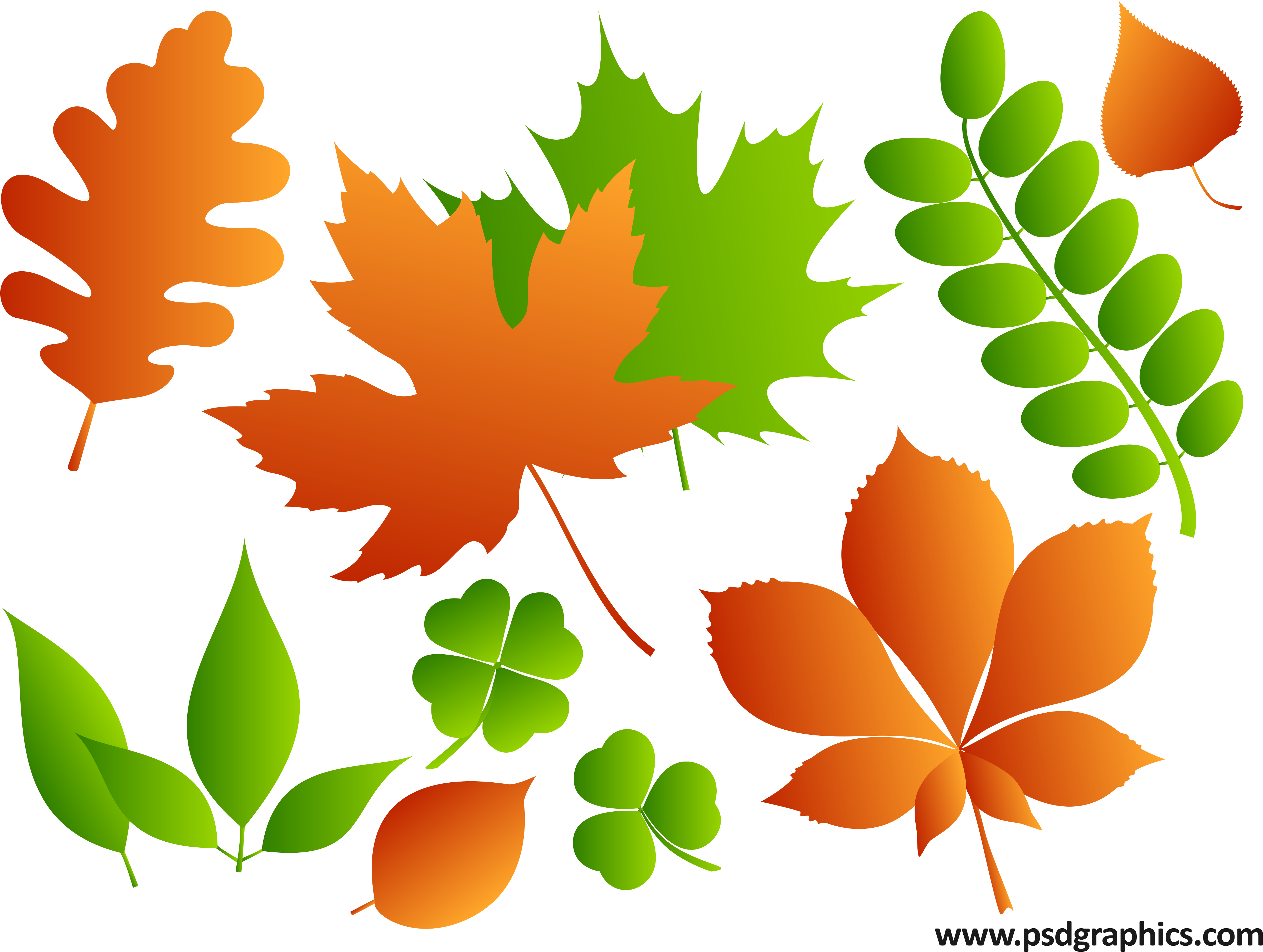 Summer Landscape Illustration - Maple Leaf Ai Download - Free Transparent PNG Clipart Images Download. - Transparent PNG Free Download