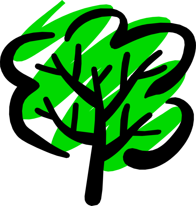 Vector Illustration Of Deciduous Forest Tree In Summer - Short Story - Free Transparent PNG Clipart Images Download. - Transparent PNG Free Download