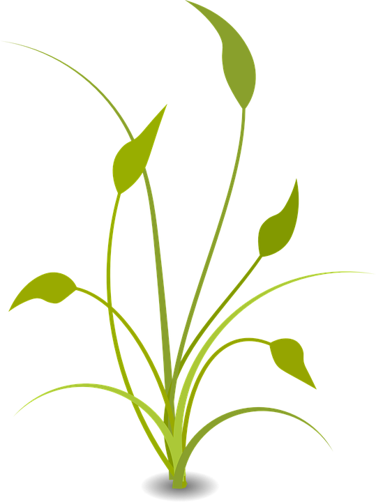 Flat Nature Plants Green Ecology Flat Plants And Tree - Floral Decoration - Free Transparent PNG Clipart Images Download. - Transparent PNG Free Download