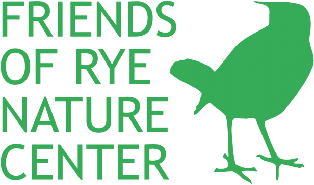 The Friends Of Rye Nature Center's Summer Day Camp - White Gloss Removable Paper Butt-cut Roll Labels ( - Free Transparent PNG Clipart Images Download. - Transparent PNG Free Download