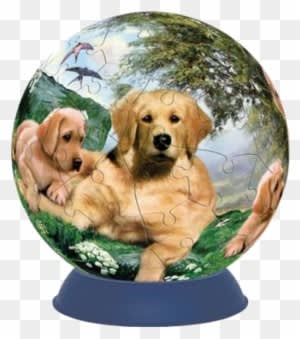 Golden Summer Days - Getting Fit Unicorn Golden Summer Days Puzzle Ball - Free Transparent PNG Clipart Images Download. - Transparent PNG Free Download