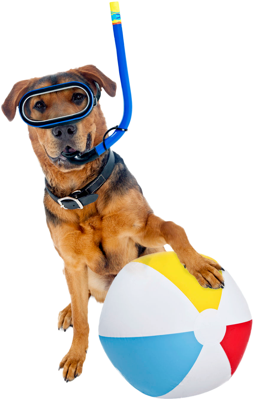 Summer Weather Reminds Us Of Pool Parties, Longer Evenings, - Beach Ball - Free Transparent PNG Clipart Images Download. - Transparent PNG Free Download