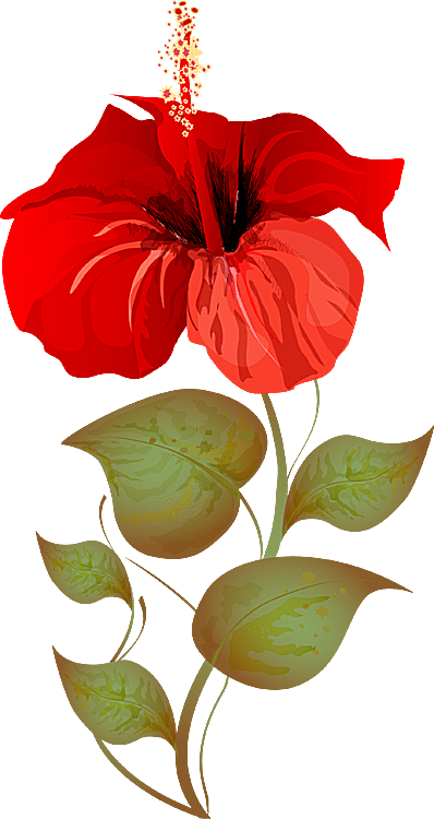 A Bouquet Of Summer Flowers Clip Art - Flawar Clip Arts - Free Transparent PNG Clipart Images Download. - Transparent PNG Free Download