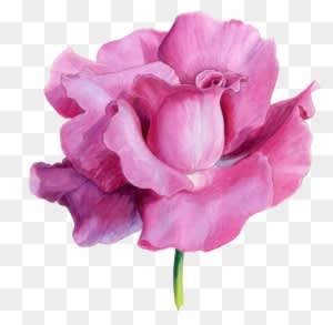 Pretty Summer Dresses, Watercolor Flowers, Watercolor - Watercolor Painting - Free Transparent PNG Clipart Images Download. - Summer Transparent PNG Free Download