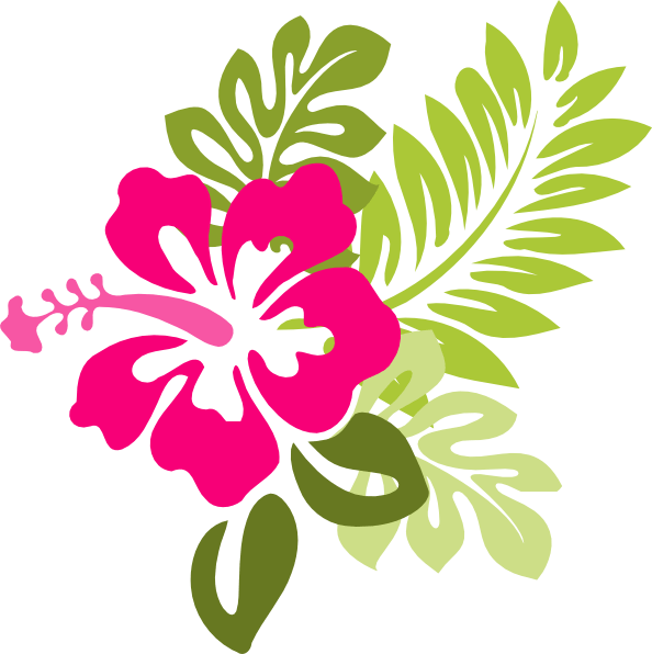 Neds Summer Luau Play Party 24 August - Hibiscus Clip Art - Free Transparent PNG Clipart Images Download. - Transparent PNG Free Download