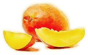 Dinner In The Garden - Peel - Free Transparent PNG Clipart Images Download. - Transparent PNG Free Download