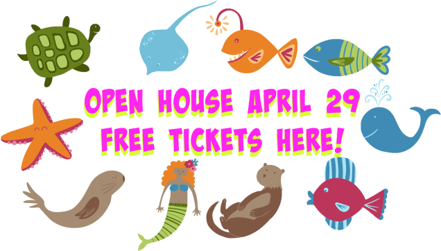 We Hope The Above Descriptions Of Aloha's Summer Camp - Mermaid Tote Bag, Adult Unisex, Orange - Free Transparent PNG Clipart Images Download. - Transparent PNG Free Download