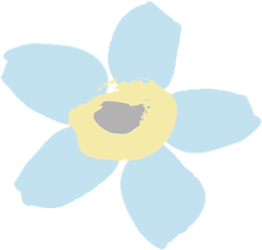 As We Start Building The Respite Centre And Hospice - Narcissus - Free Transparent PNG Clipart Images Download. - Transparent PNG Free Download