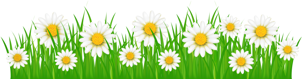 Preparing Your System For The Heat Of Summer Will Help - Flower And Grass Clipart - Free Transparent PNG Clipart Images Download. - Transparent PNG Free Download