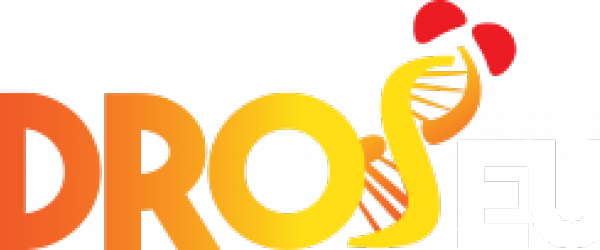 Droseu /eseb Stn Summer School On Adaptation Genomics - Graphic Design - Free Transparent PNG Clipart Images Download. - Transparent PNG Free Download