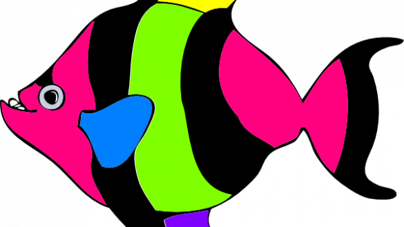Free Fish Clipart Tropical Summer Pinterest - Free Fish Clipart Tropical Summer Pinterest - Free Transparent PNG Clipart Images Download. - Transparent PNG Free Download