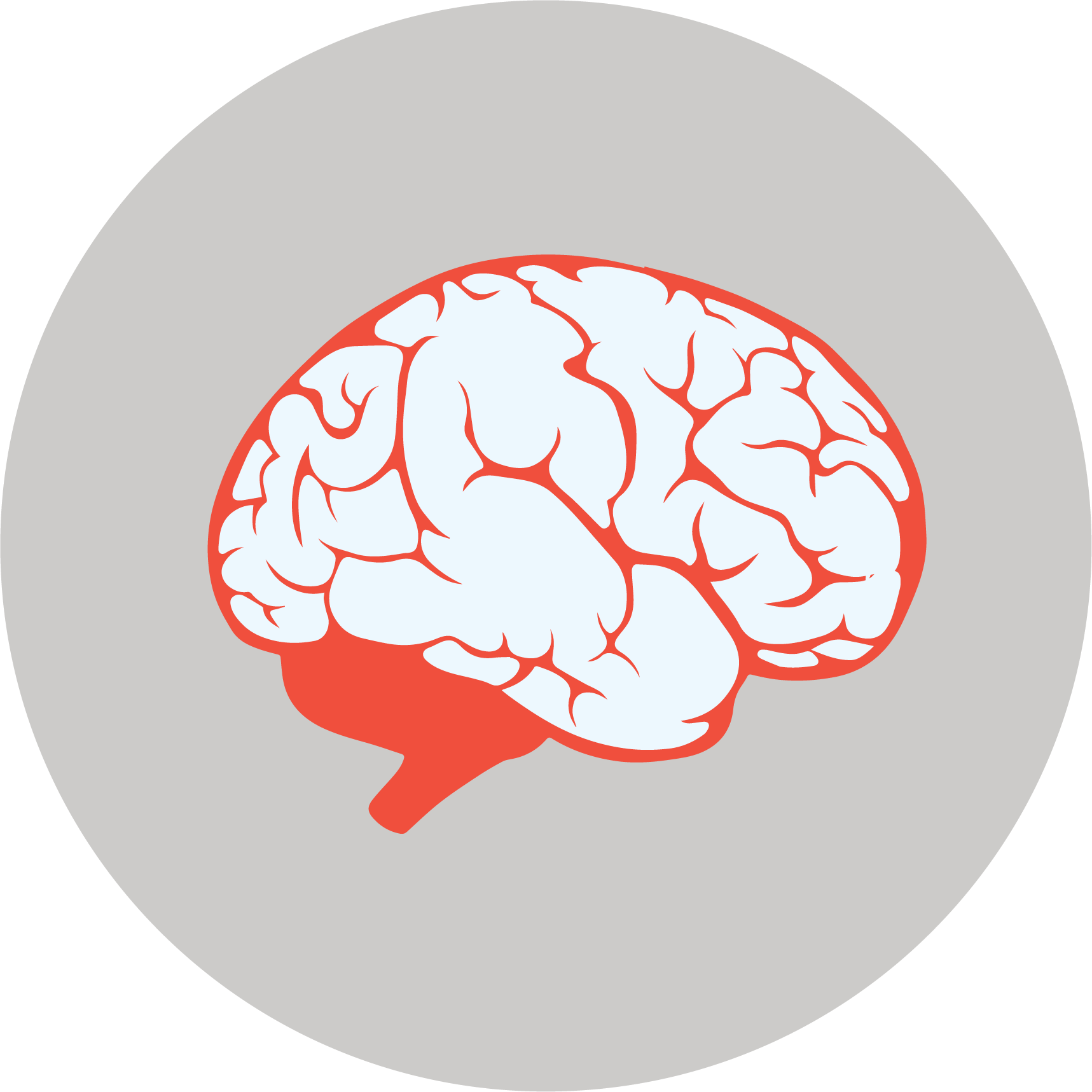 Preventing The Summer Brain Drain - Preventing The Summer Brain Drain - Free Transparent PNG Clipart Images Download. - Transparent PNG Free Download