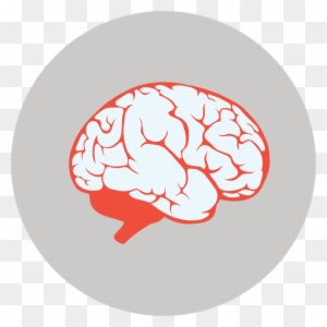 Preventing The Summer Brain Drain - Preventing The Summer Brain Drain - Free Transparent PNG Clipart Images Download. - Transparent PNG Free Download