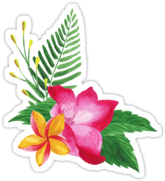 Summer Watercolor Beautiful Tropical Flower By Barcelonashop - Chinese Hibiscus - Free Transparent PNG Clipart Images Download. - Transparent PNG Free Download