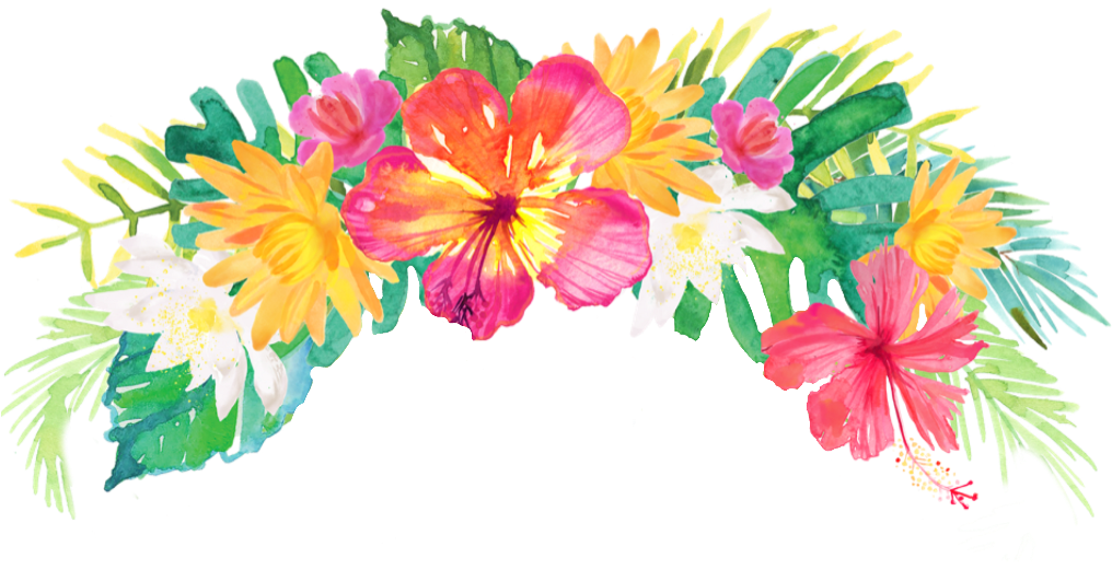 Tropical Summer Palm Flowers Headband Drawing Flower - Tropical Flower Crown Png - Free Transparent PNG Clipart Images Download. - Transparent PNG Free Download
