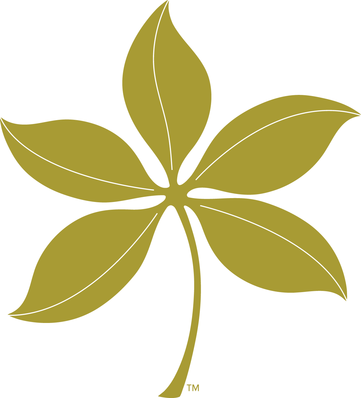 Summer - Osu Buckeye Leaf Logo Transparent Background - Free Transparent PNG Clipart Images Download. - Transparent PNG Free Download