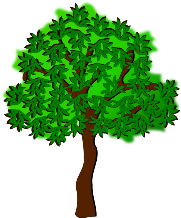 Summer Season Tree Autumn Drawing - Summer Season Tree Transparent PNG - 750x750 - Free Download on - Transparent PNG Free Download