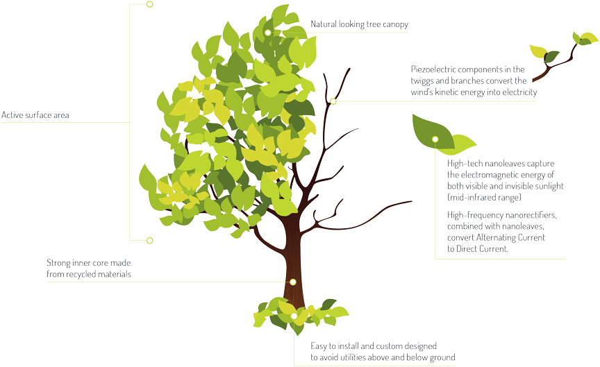 Photo From Solar Botanic - Seasonal Tree Summer Shower Curtain Transparent PNG - 1024x560 - Free Download on - Transparent PNG Free Download
