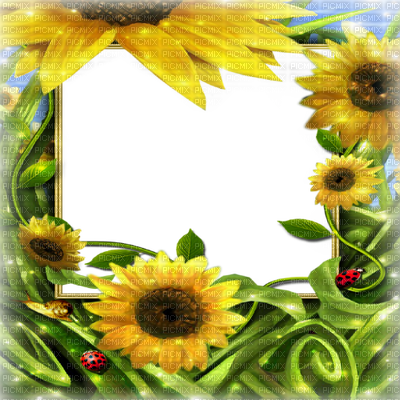 Transparent Frame Png Summer Transparent PNG - 400x400 - Free Download on - Transparent PNG Free Download