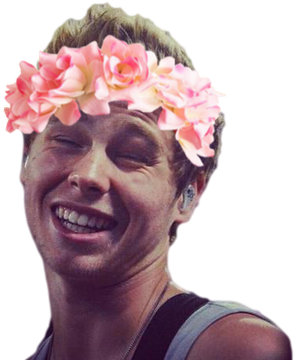 Luke's Dong - 5 Seconds Of Summer Transparent PNG - 400x400 - Free Download on - Transparent PNG Free Download